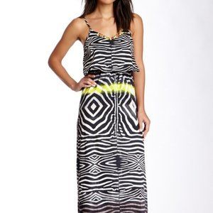 Line & Dot Zebra Print Neon Maxi